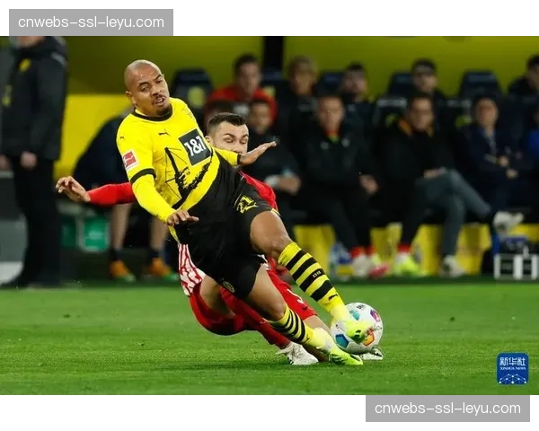 多特蒙德vs弗赖堡赛前：大黄蜂主场千场里程碑之战